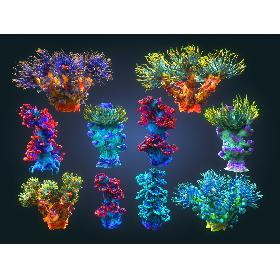 3D Animated Plants Ocean - Alien  Pack 10